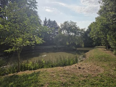 Divers a vendre Ruillé-Froid-Fonds 53170 Mayenne 11300 m2  85400 euros