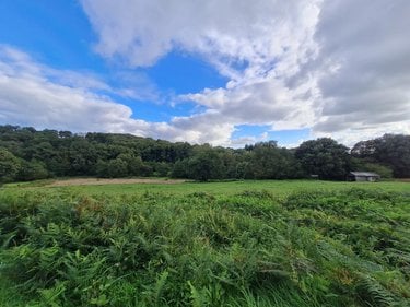 Terrains de loisirs bois etangs a vendre Pleugriffet 56120 Morbihan 28767 m2  11605 euros