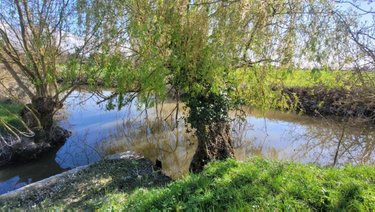 Maison a vendre Marans 17230 Charente-Maritime 89 m2 3 pièces 227240 euros