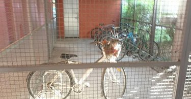 Appartement a vendre Vendargues 34740 Hérault 19 m2 1 pièce 54000 euros