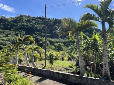 Maison a vendre Entre-Deux 97414 Réunion 66 m2 3 pièces 367500 euros