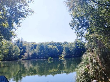 Terrains de loisirs bois etangs a vendre Le Croisty 56540 Morbihan 15350 m2  74400 euros