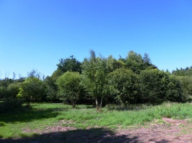 Terrains de loisirs bois etangs a vendre Cléguérec 56480 Morbihan 16640 m2  15990 euros