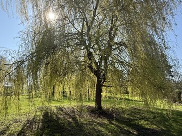 Maison a vendre Treux 80300 Somme 130 m2 5 pièces 312000 euros