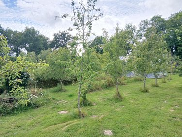 Maison a vendre Theix-Noyalo 56450 Morbihan 59 m2  398360 euros