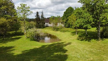 Maison a vendre Pressigny-les-Pins 45290 Loiret 480 m2  850000 euros