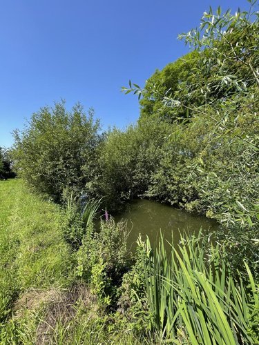 Terrains de loisirs bois etangs a vendre Marolles-les-Braults 72260 Sarthe 3730 m2  21800 euros