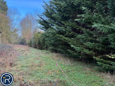 Maison a vendre Louverné 53950 Mayenne 124 m2 6 pièces 228800 euros