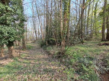 Maison a vendre Saint-Saturnin 72650 Sarthe 204 m2 6 pièces 466200 euros