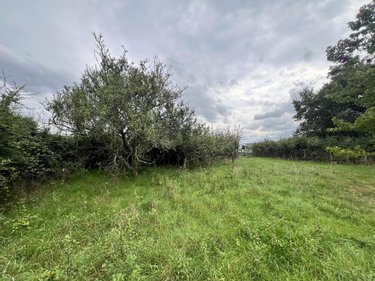 Terrains de loisirs bois etangs a vendre Lunay 41360 Loir-et-Cher 2855 m2  11800 euros