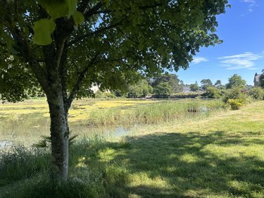 Maison a vendre Baden 56870 Morbihan 135 m2 6 pièces 744340 euros