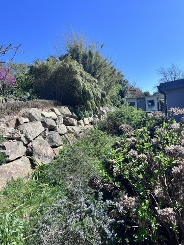 Maison a vendre Combrit 29120 Finistère 144 m2 5 pièces 415000 euros