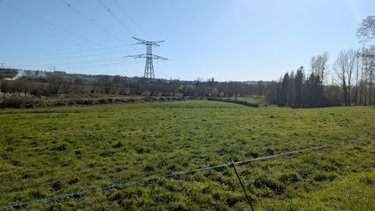 Terrains de loisirs bois etangs a vendre Le Chefresne 50410 Manche 42480 m2  45024 euros
