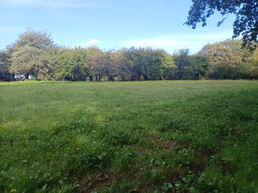 Terrains de loisirs bois etangs a vendre Bubry 56310 Morbihan 6150 m2  7600 euros