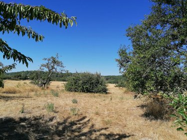 Terrains de loisirs bois etangs a vendre Abilly 37160 Indre-et-Loire 3420 m2  6500 euros
