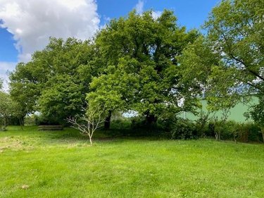 Maison a vendre Mûrs-Erigné 49610 Maine-et-Loire 221 m2 6 pièces 466500 euros