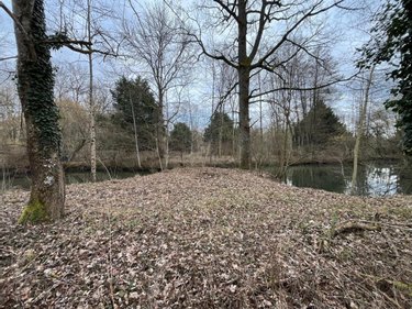 Terrains de loisirs bois etangs a vendre Ferrières-en-Gâtinais 45210 Loiret 3758 m2  34000 euros