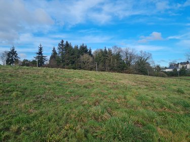 Terrain a batir a vendre Pleugriffet 56120 Morbihan 3740 m2  37400 euros