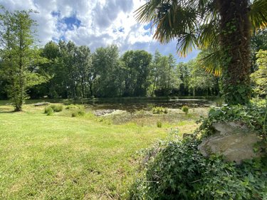 Terrains de loisirs bois etangs a vendre Sainte-Flaive-des-Loups 85150 Vendée 6000 m2  84400 euros