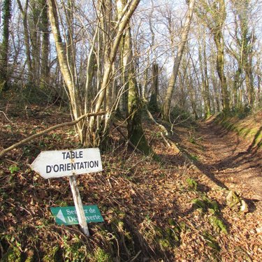 Terrains de loisirs bois etangs a vendre Saint-Vigor-des-Monts 50420 Manche 10923 m2  7800 euros