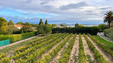 Maison a vendre Saint-Tropez 83990 Var 135 m2  4900000 euros