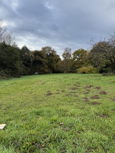 Terrain a batir a vendre Plémet 22210 Côtes-d'Armor 1169 m2  13800 euros