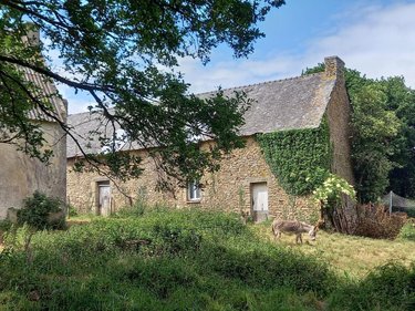 Maison a vendre Languidic 56440 Morbihan 60 m2 2 pièces 193100 euros
