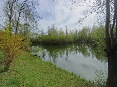 Terrains de loisirs bois etangs a vendre Amiens 80000 Somme 31288 m2  155000 euros