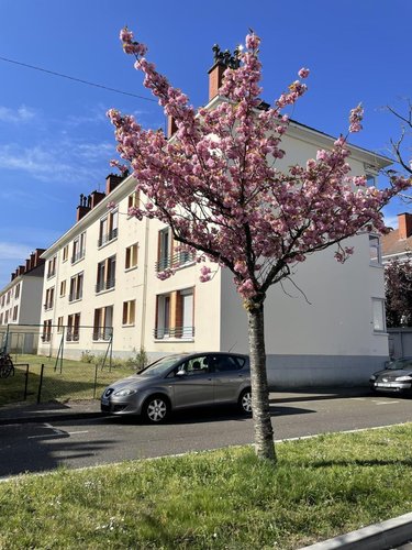 Appartement a vendre Le Mans 72000 Sarthe 34 m2 2 pièces 58850 euros