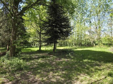 Terrains de loisirs bois etangs a vendre La Roche-Neuville 53200 Mayenne 31445 m2  95700 euros