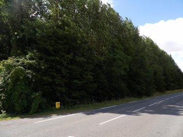 Terrains de loisirs bois etangs a vendre Diéval 62460 Pas-de-Calais 4103 m2  13000 euros
