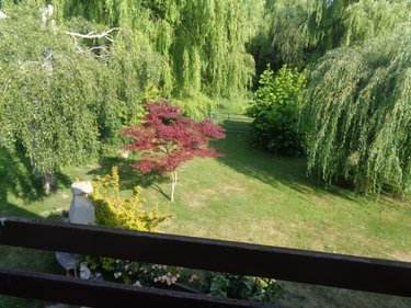 Maison a vendre Gonnehem 62920 Pas-de-Calais 115 m2 5 pièces 353500 euros