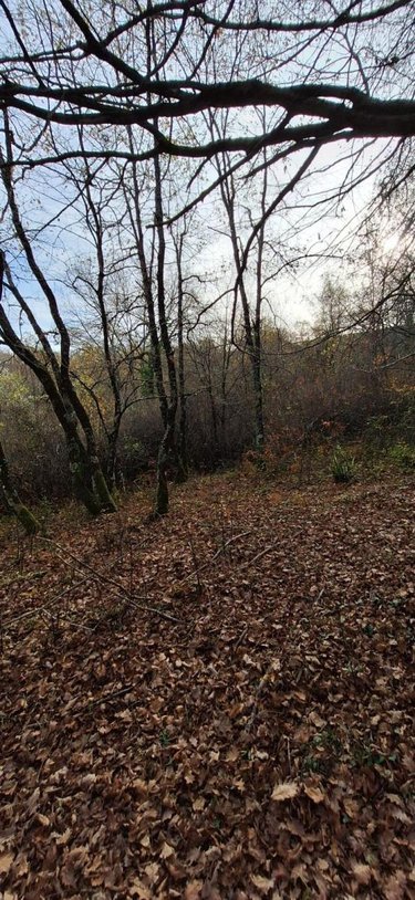 Terrains de loisirs bois etangs a vendre Peyrusse-Grande 32320 Gers 57740 m2  39500 euros