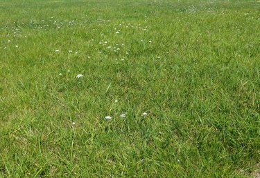 Terrain a batir a vendre Sarrigné 49800 Maine-et-Loire 1597 m2  99560 euros