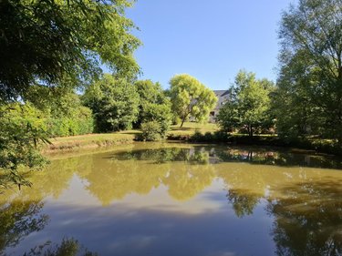 Maison a vendre Pleugriffet 56120 Morbihan 116 m2 5 pièces 175000 euros