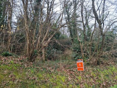 Terrain a batir a vendre Rohan 56580 Morbihan 8566 m2  53000 euros