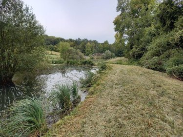 Divers a vendre Muret-et-Crouttes 02210 Aisne 10892 m2  78600 euros