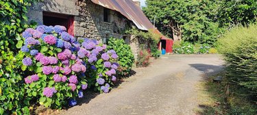 Maison a vendre Plaudren 56420 Morbihan 108 m2 6 pièces 288400 euros