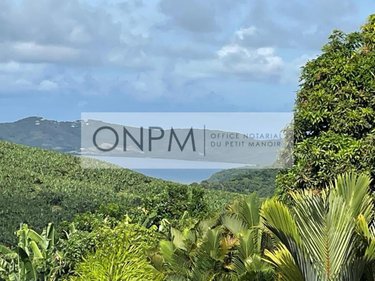 Maison a vendre Le Robert 97231 Martinique 300 m2 4 pièces 520000 euros