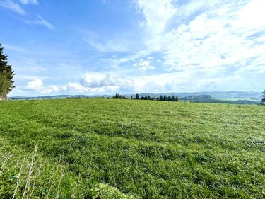 Maison a vendre Saint-Chély-d'Apcher 48200 Lozère 97 m2  169000 euros