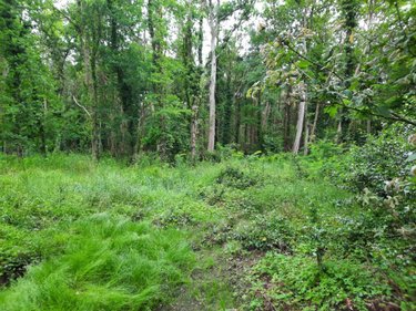 Terrain a batir a vendre Soullans 85300 Vendée  106600 euros