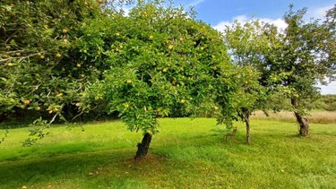 Maison a vendre Guidel 56520 Morbihan 88 m2 4 pièces 196650 euros