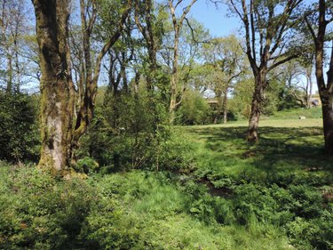 Maison a vendre La Chapelle-Neuve 22160 Côtes-d'Armor 39 m2  37700 euros