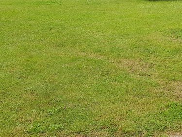 Terrain a batir a vendre Mourmelon-le-Petit 51400 Marne 500 m2  53000 euros