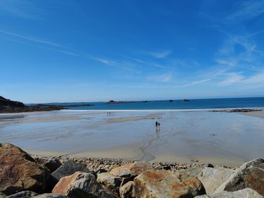 Terrain a batir a vendre Plougasnou 29630 Finistère 479 m2  72725 euros