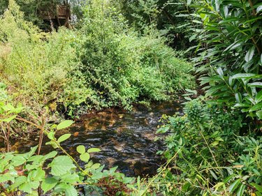 Terrains de loisirs bois etangs a vendre Pleyber-Christ 29410 Finistère 2080 m2  13000 euros