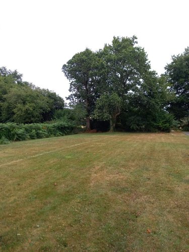 Maison a vendre Pluvigner 56330 Morbihan 130 m2 4 pièces 374400 euros