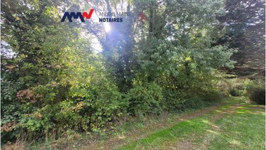 Terrains de loisirs bois etangs a vendre Précigné 72300 Sarthe 3999 m2  5000 euros