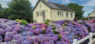 Maison a vendre Plémet 22210 Côtes-d'Armor 77 m2  120520 euros