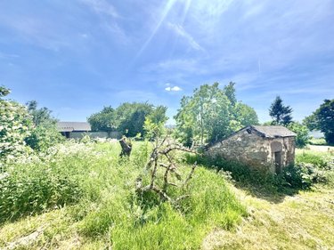Maison a vendre Sainte-Colombe-de-Peyre 48130 Lozère 145 m2  99000 euros